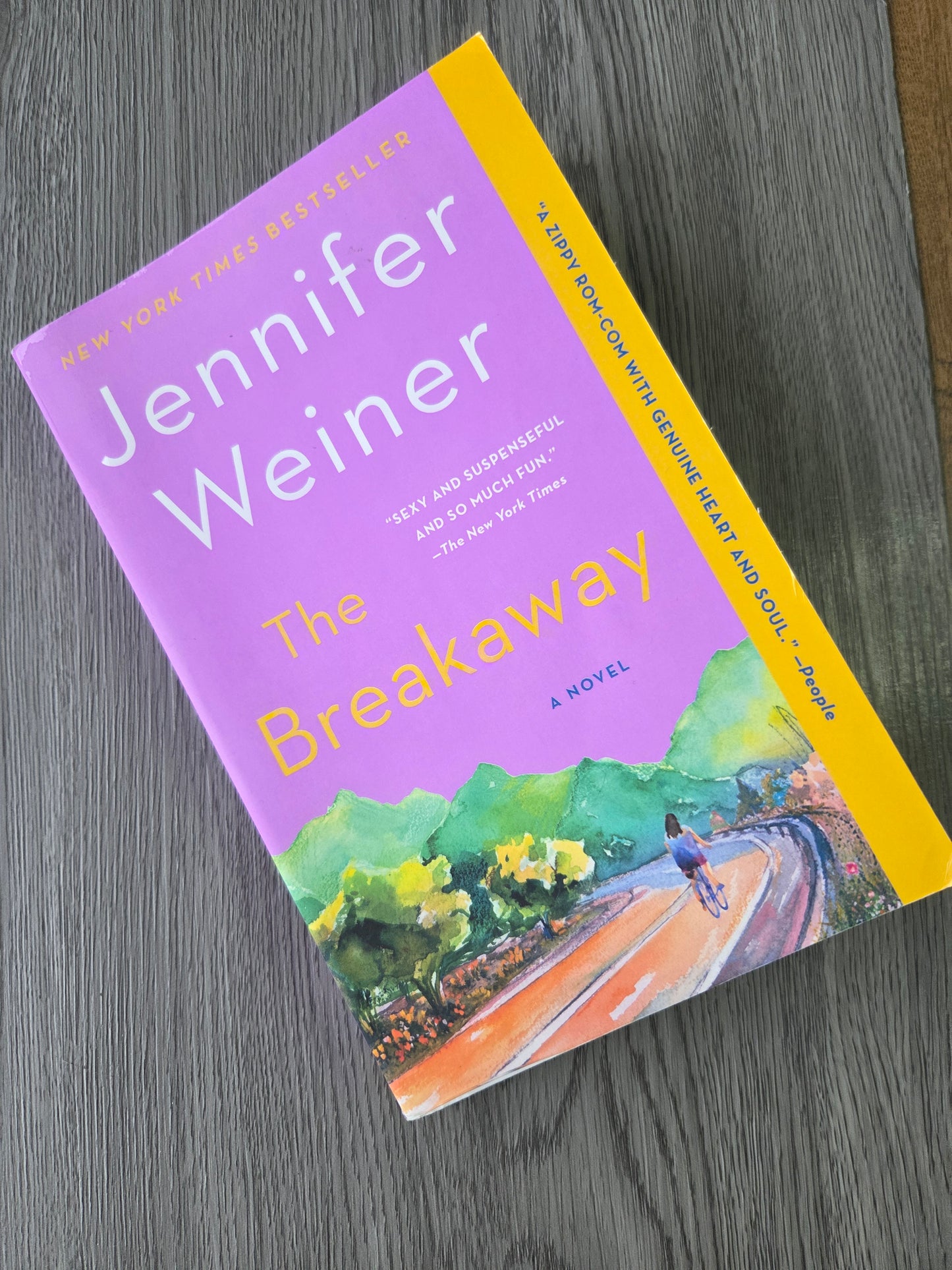 The Breakaway by Jennifer Weiner - Used