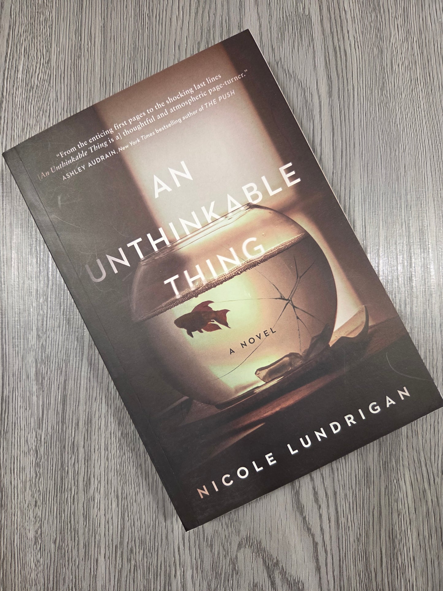 An Unthinkable Thing by Nicole Lundrigan - Used