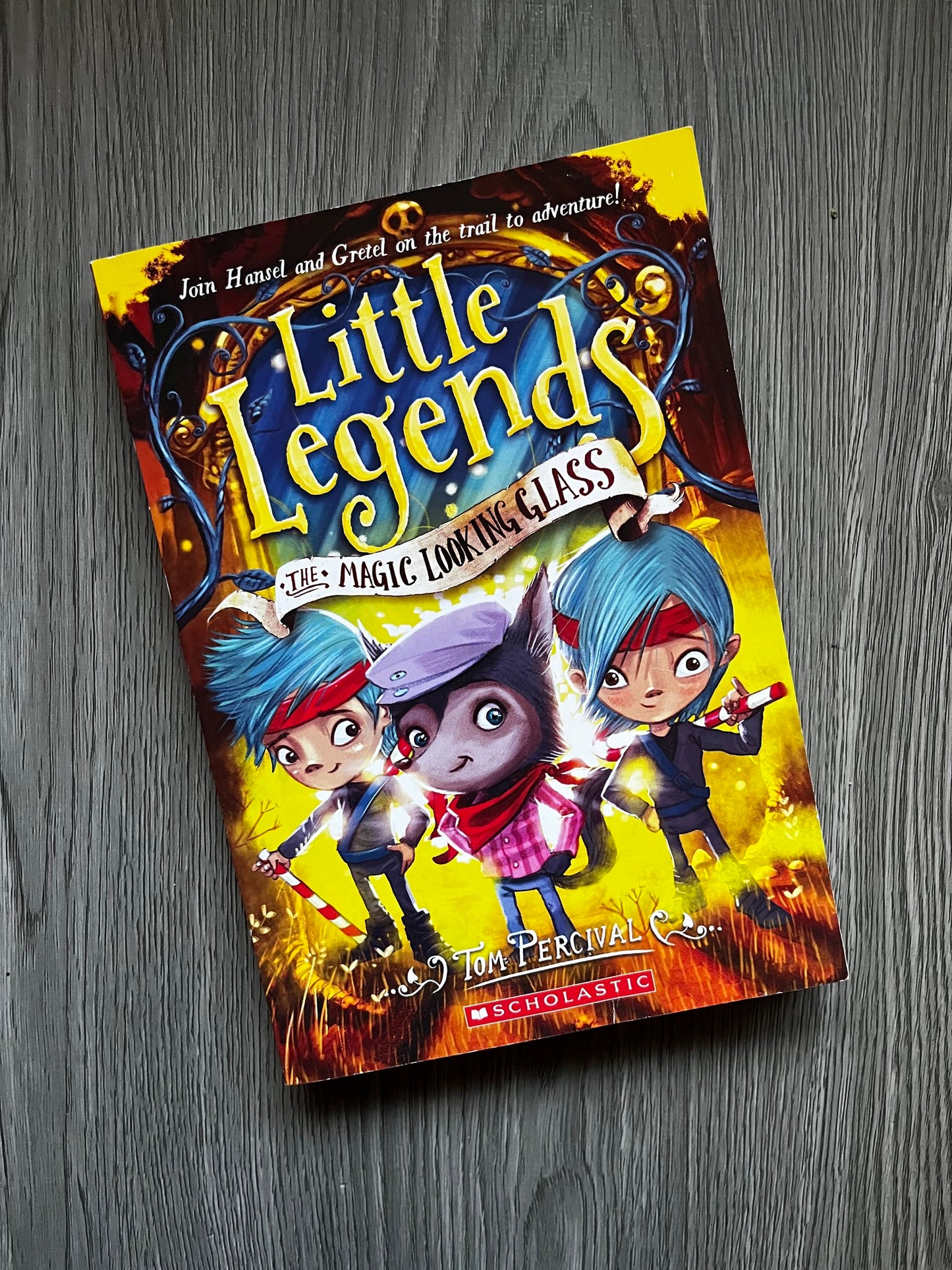 The Magic Looking Glass (Little Legends #4) by Tom Percival-Used