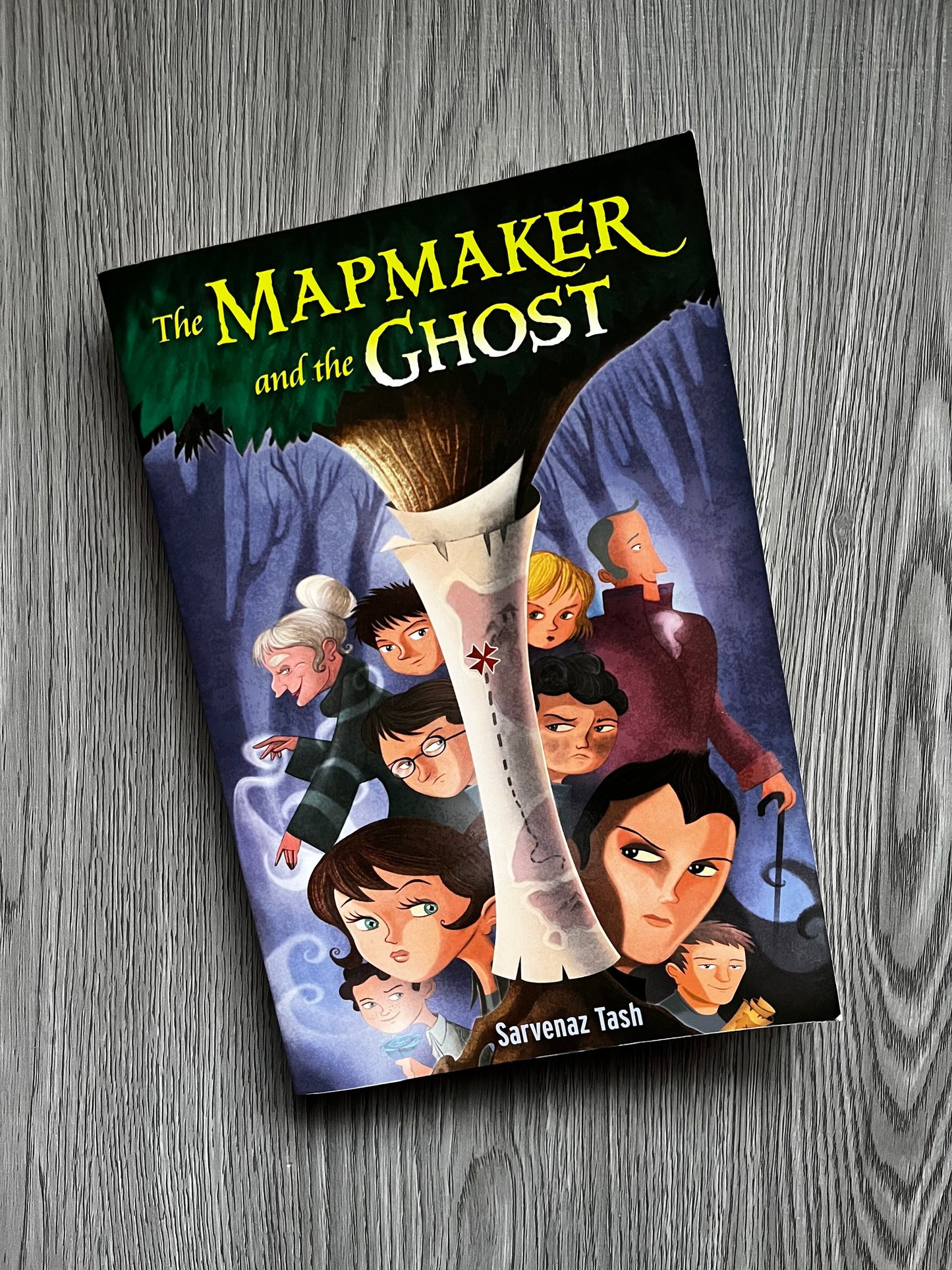 The Mapmaker and the Ghost by Sarvenaz Tash-Used