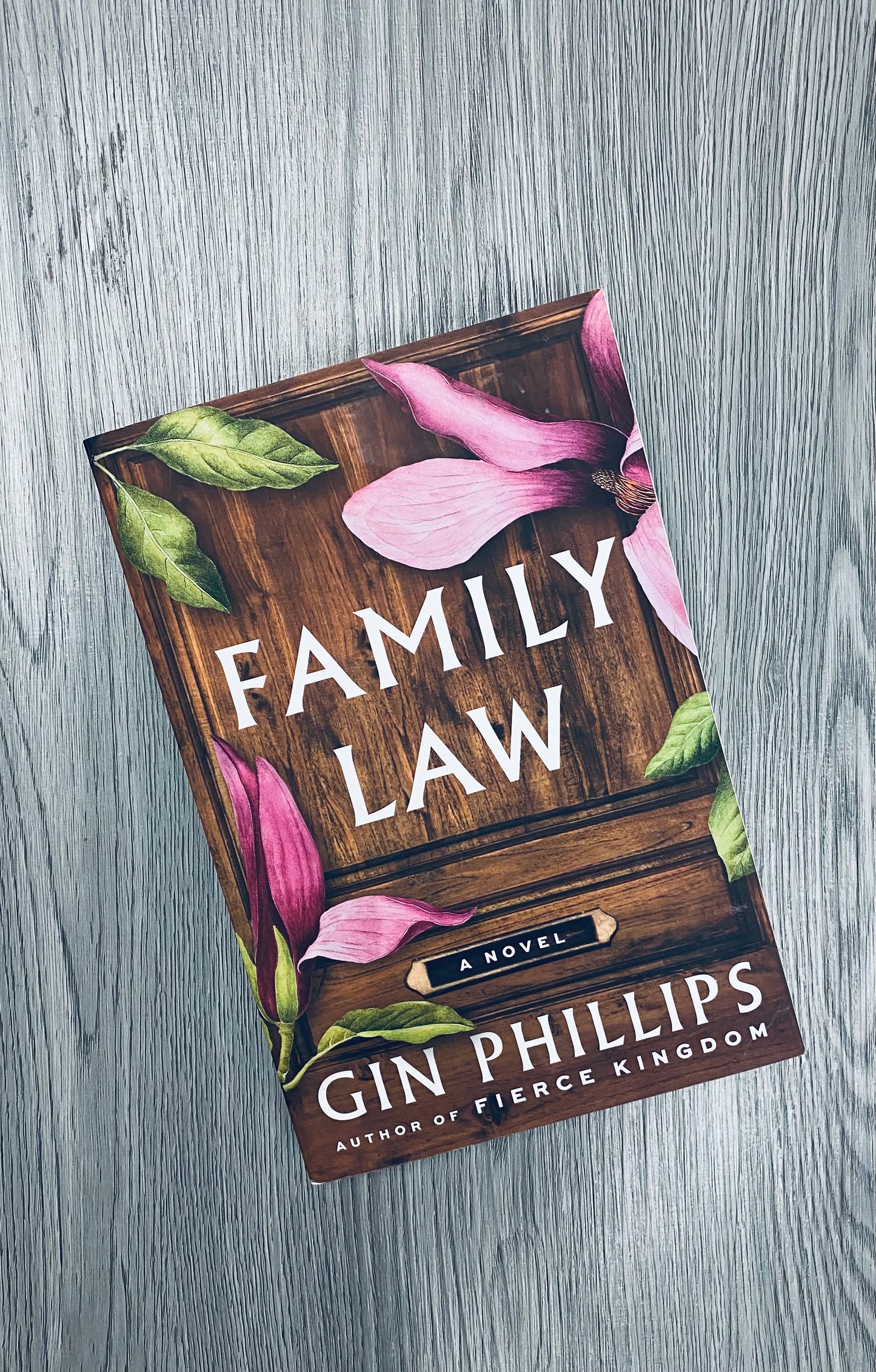 Family Law by Gin Phillips-Used