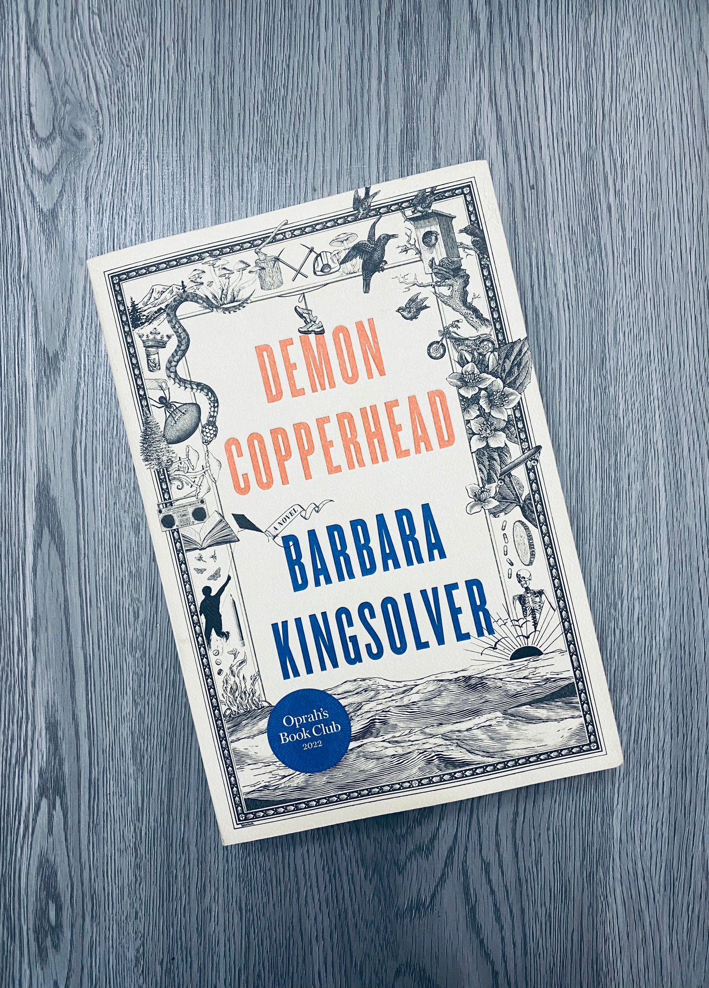 Demon Copperhead by Barbara Kingsolver-Used
