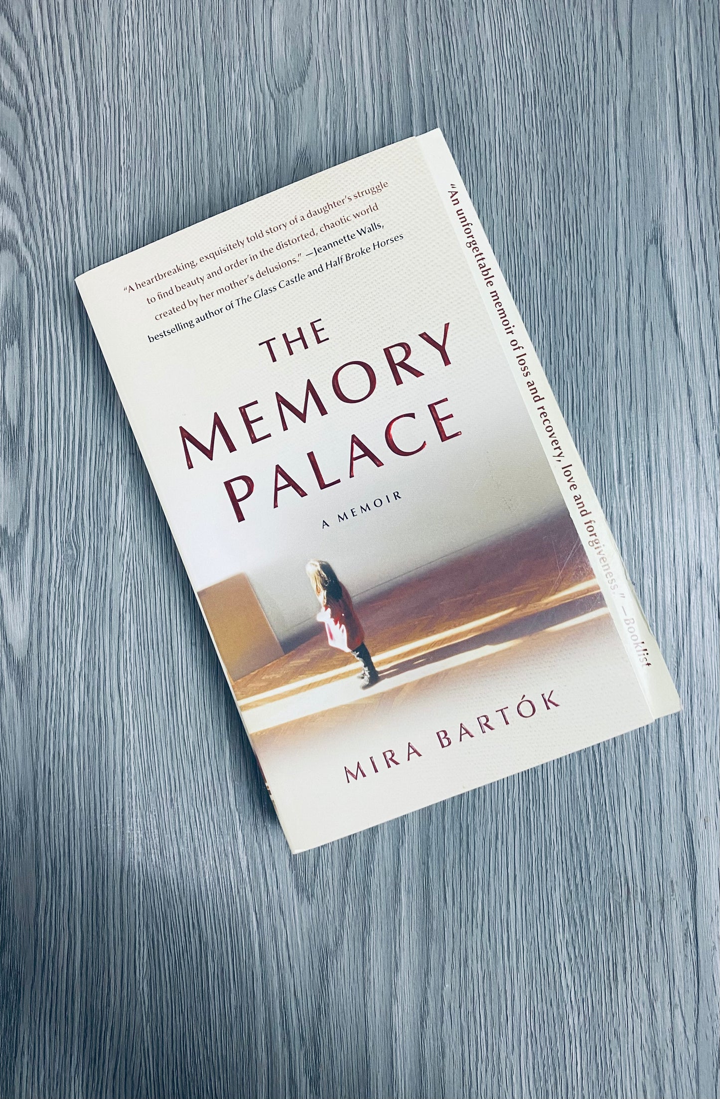 The Memory Palace by Mira Bartok-Used