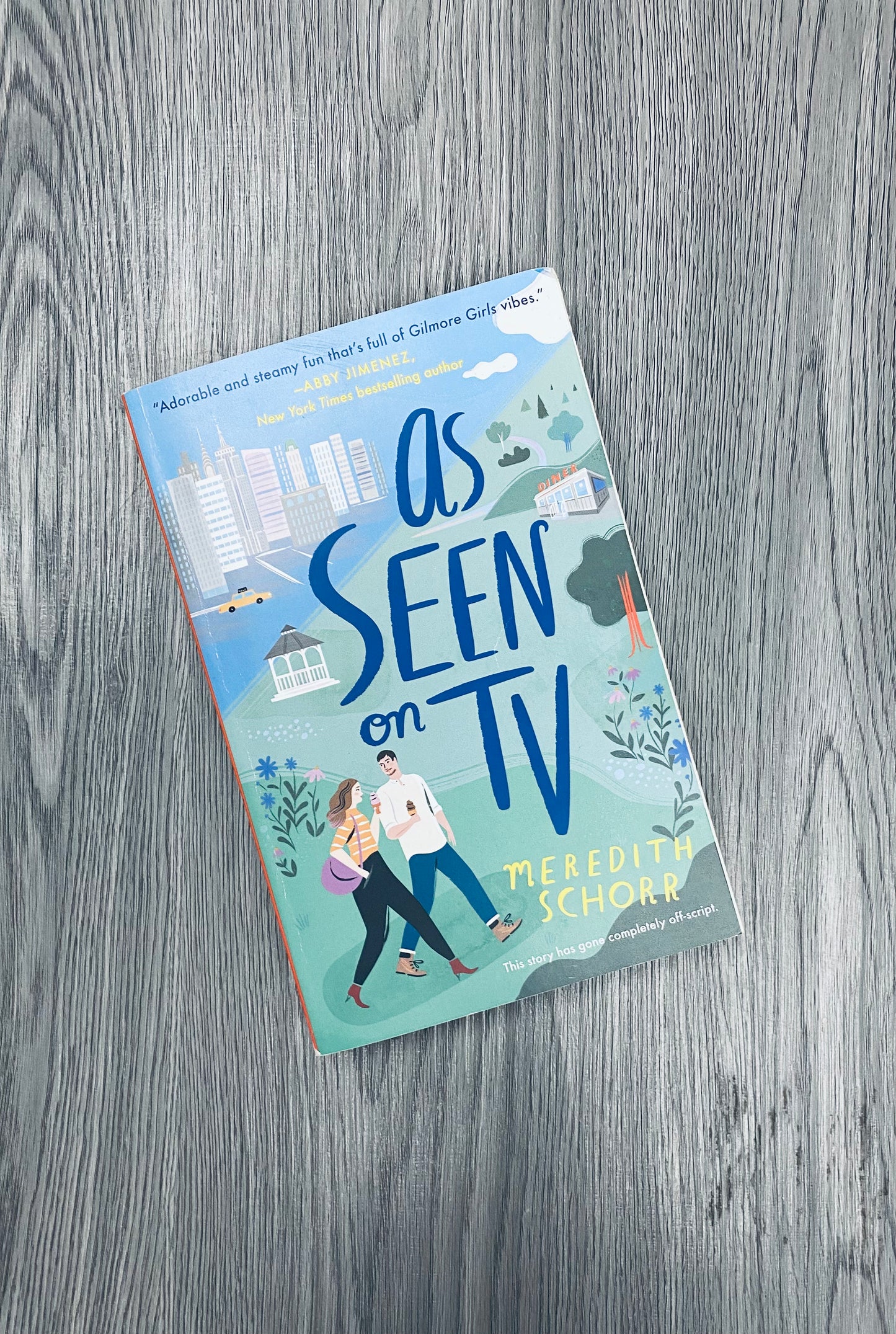 As Seen on TV by Meredith Schorr-Used