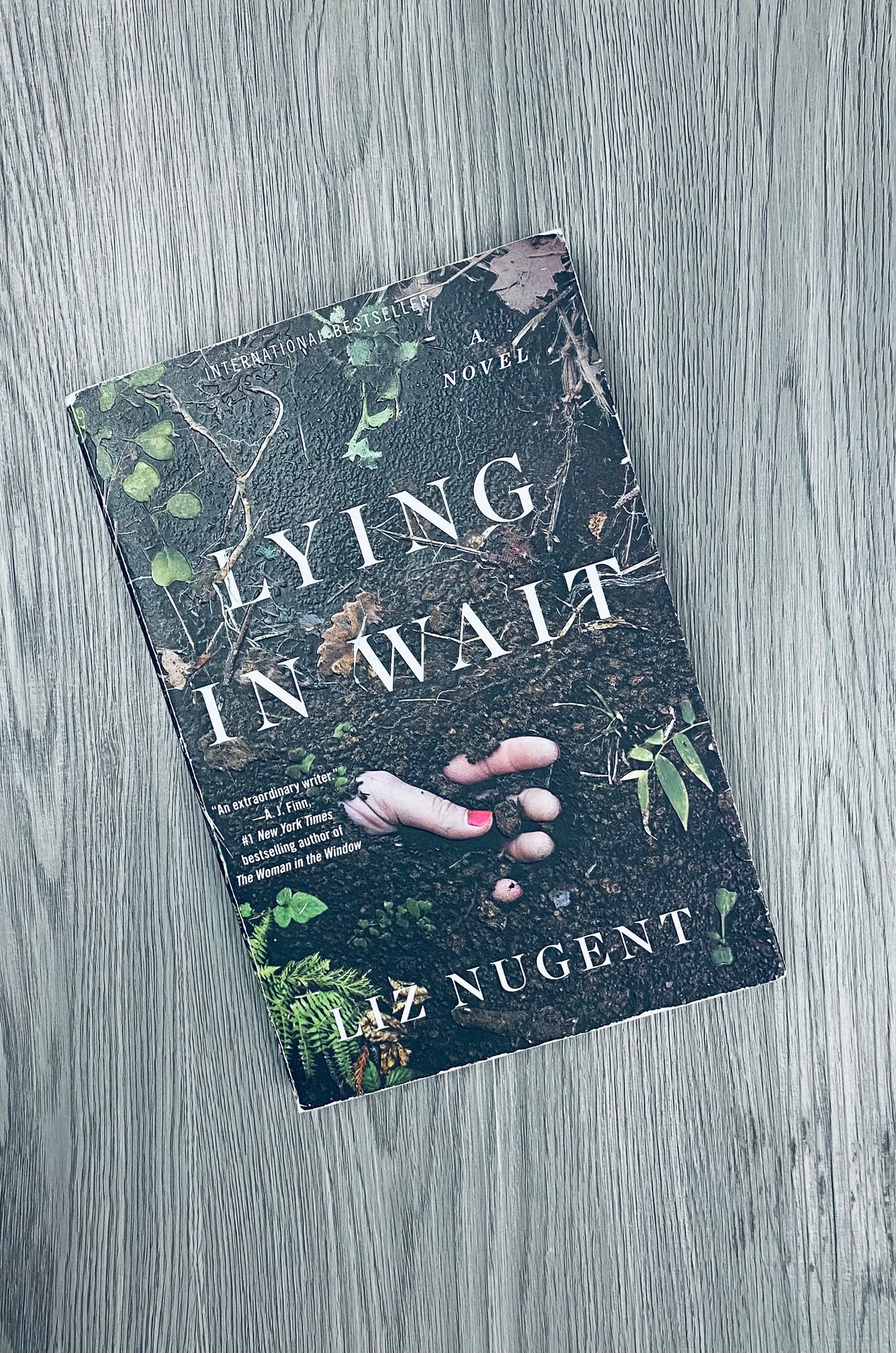 Lying in Wait by Liz Nugent-Used