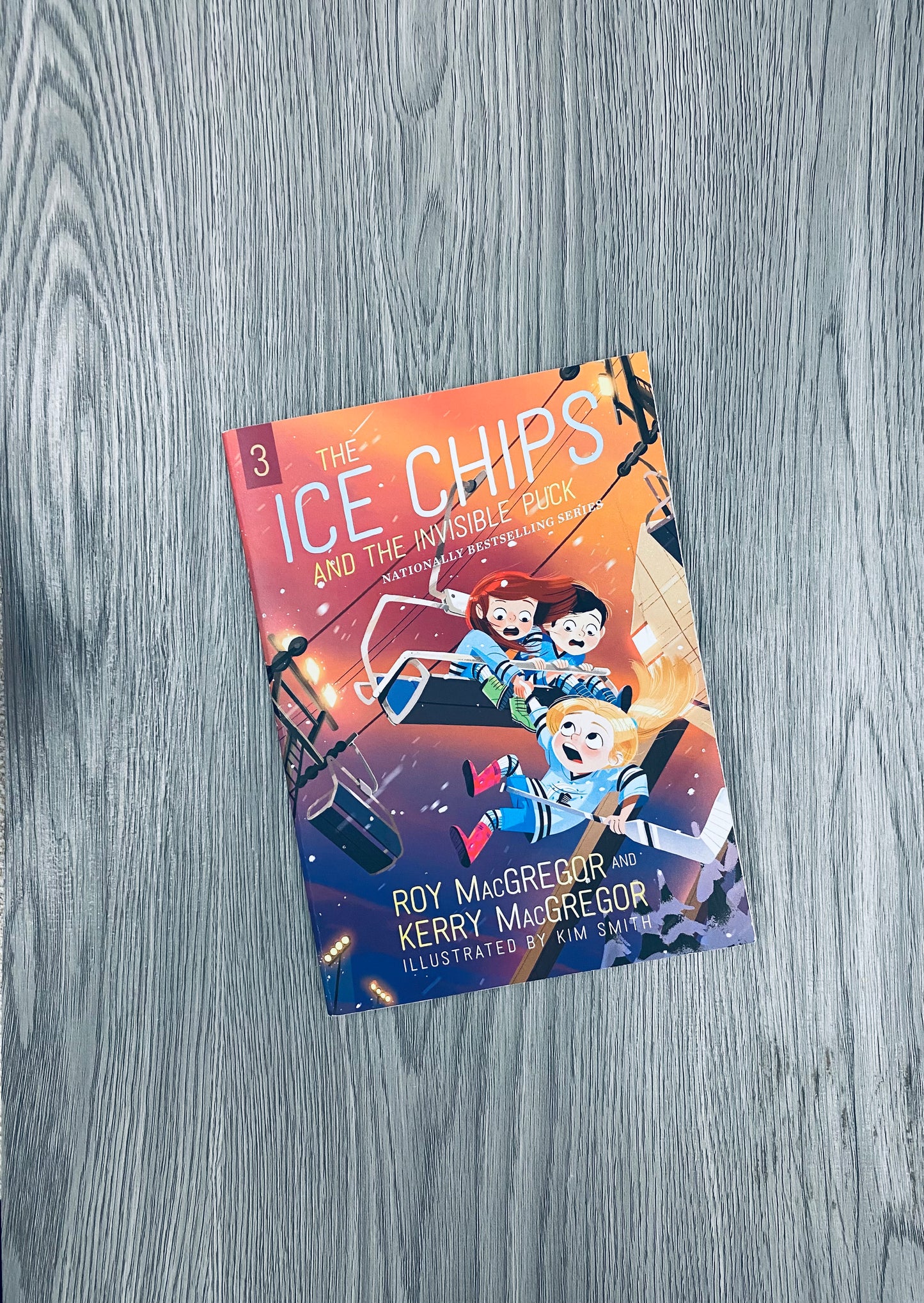 The Ice Chips by Roy McGregor - Used