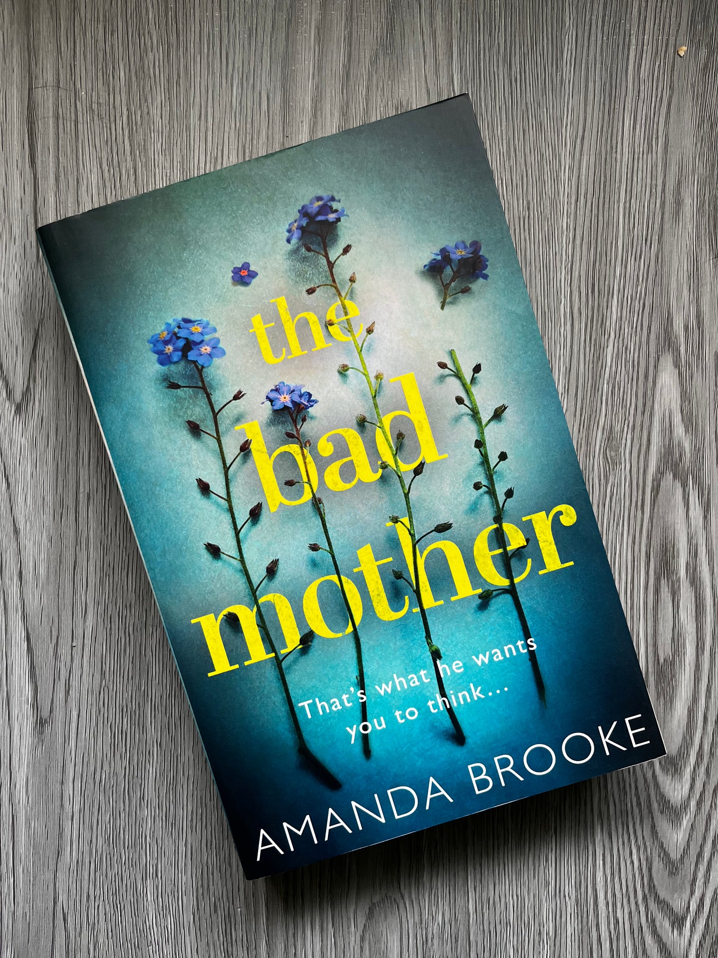 The Bad Mother by Amanda Brooke-Used