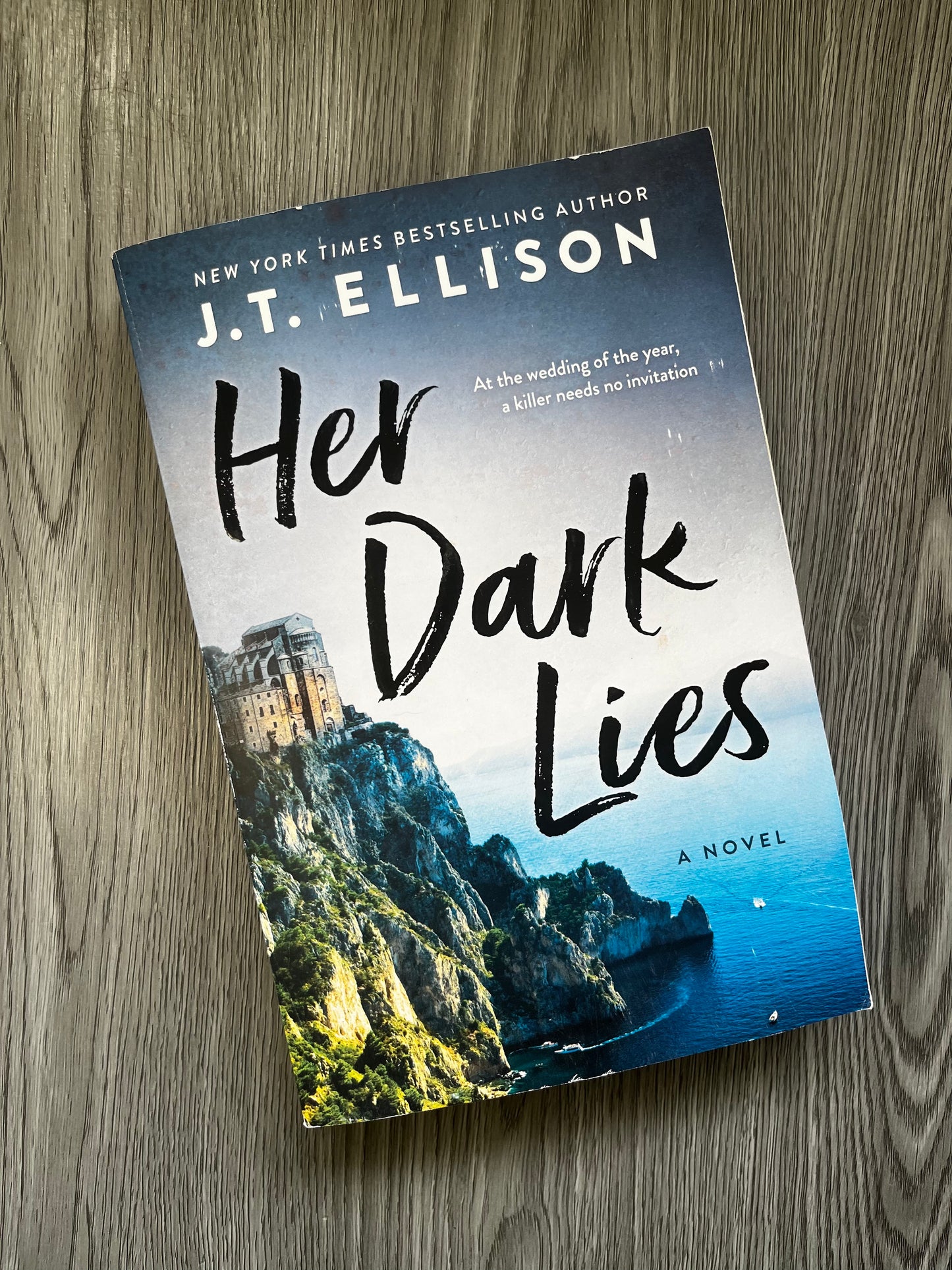 Her Dark Lies by J.T. Ellison-Used