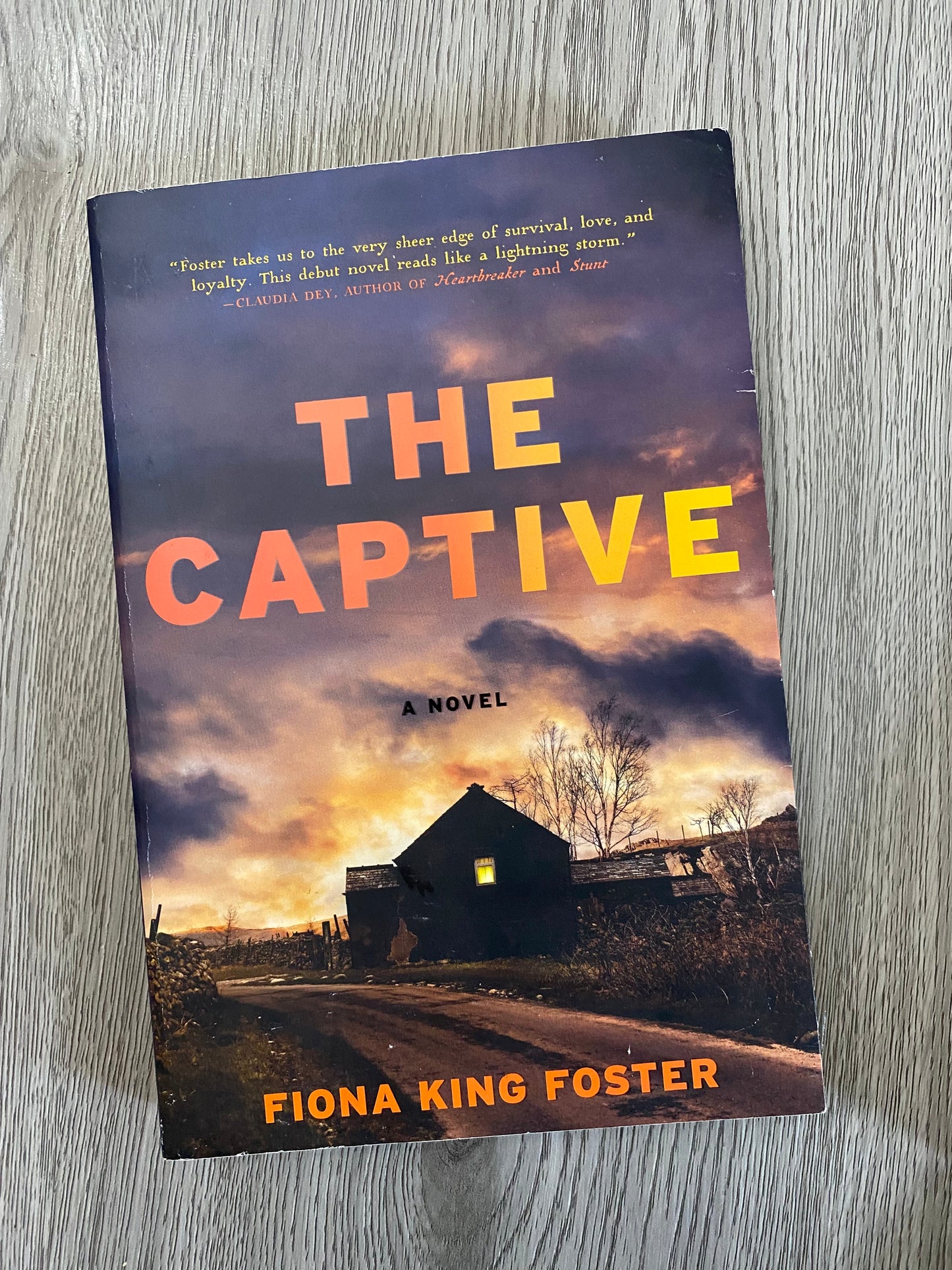 The Captive by Fiona King Foster-Used