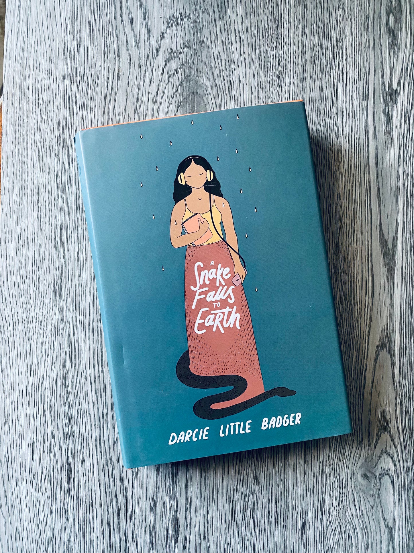 A Snake Falls to Earth by Darcie Little Badger-Hardcover Used