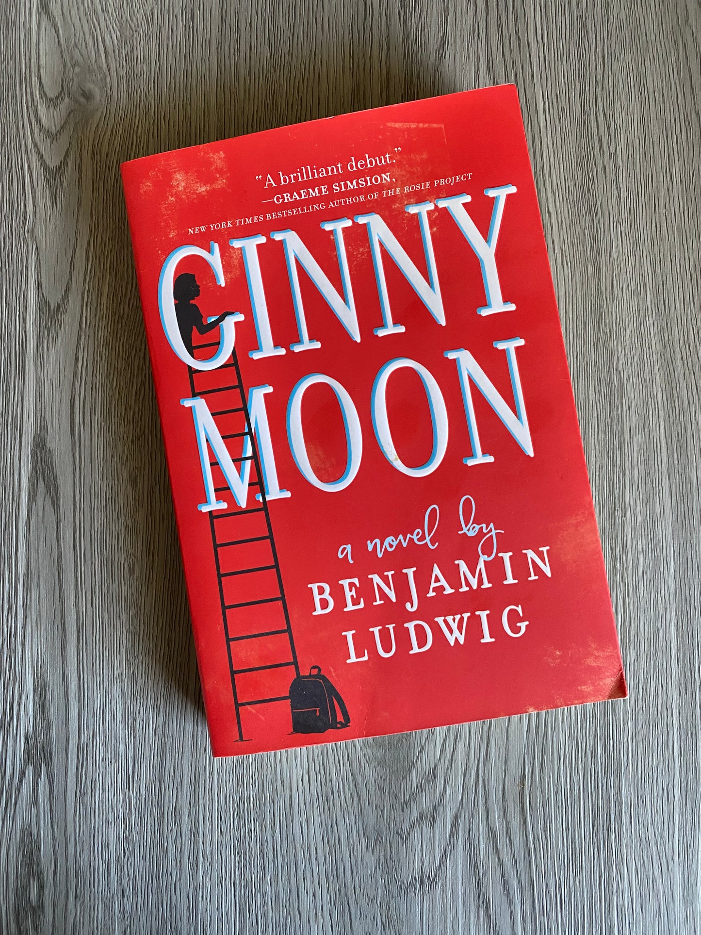 Ginny Moon by Benjamin Ludwig-Used