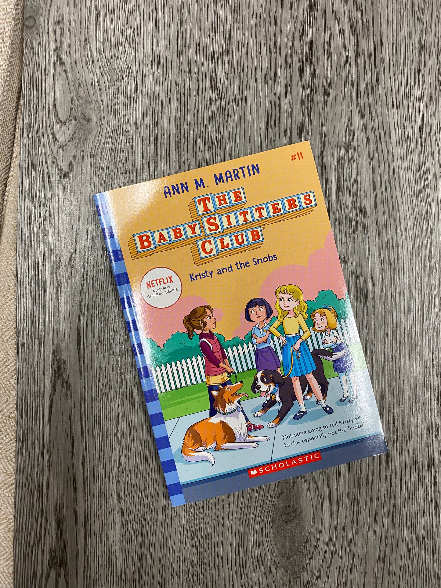 The Baby-Sitters Club Series by Ann M. Martin-Used