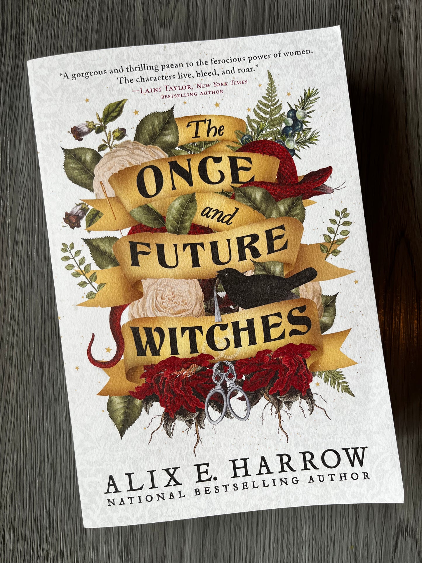 The Once and Future Witches by Alix E. Harrow-Used