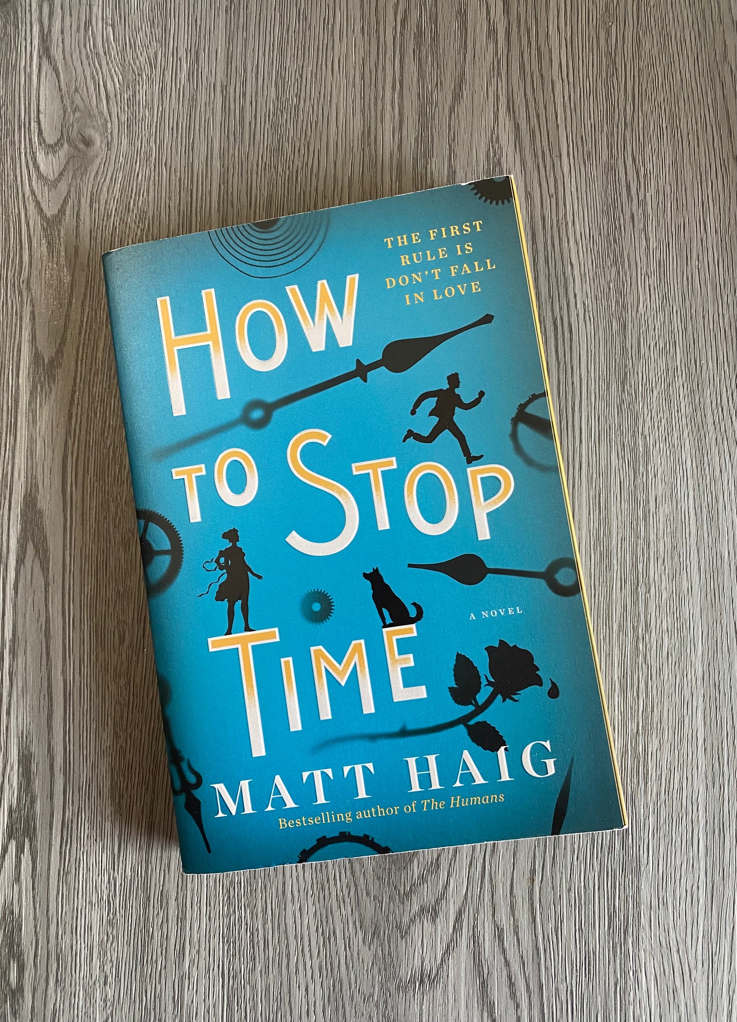 How to Stop Time by Matt Haig-Used