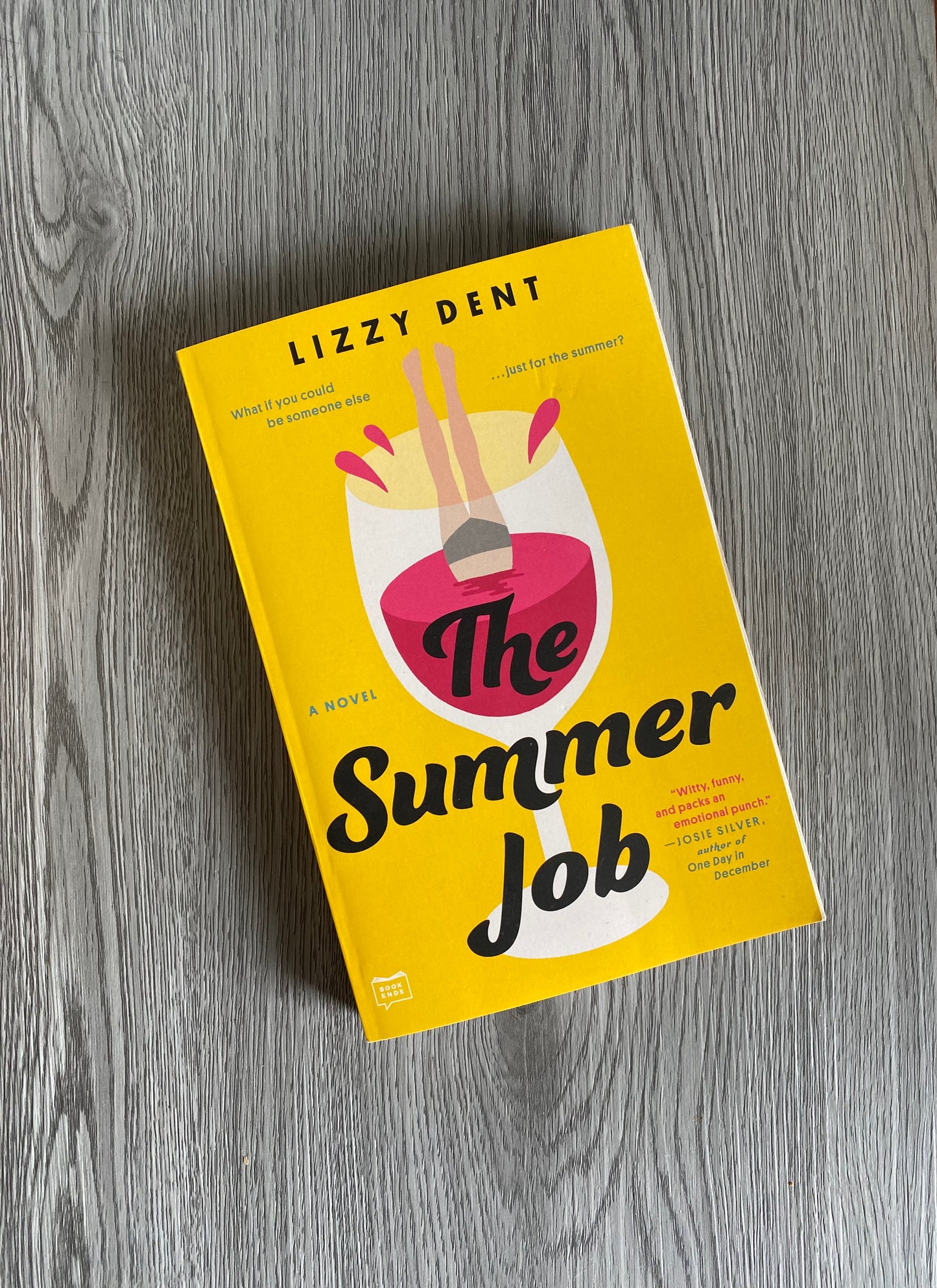 The Summer Job by Lizzy Dent-Used