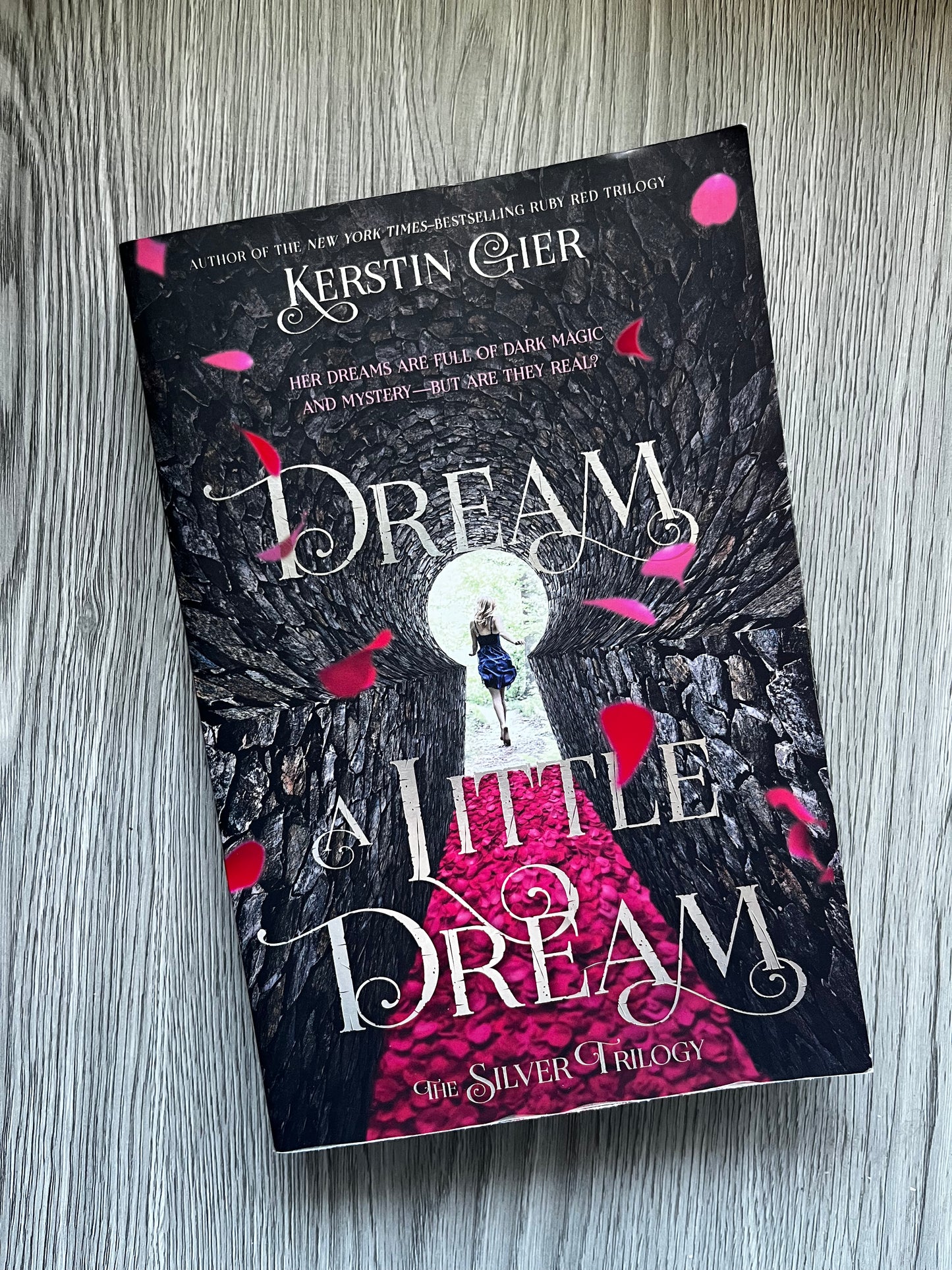 Dream a Little Dream (The Silver Trilogy #1) by Kerstin Gier-Used