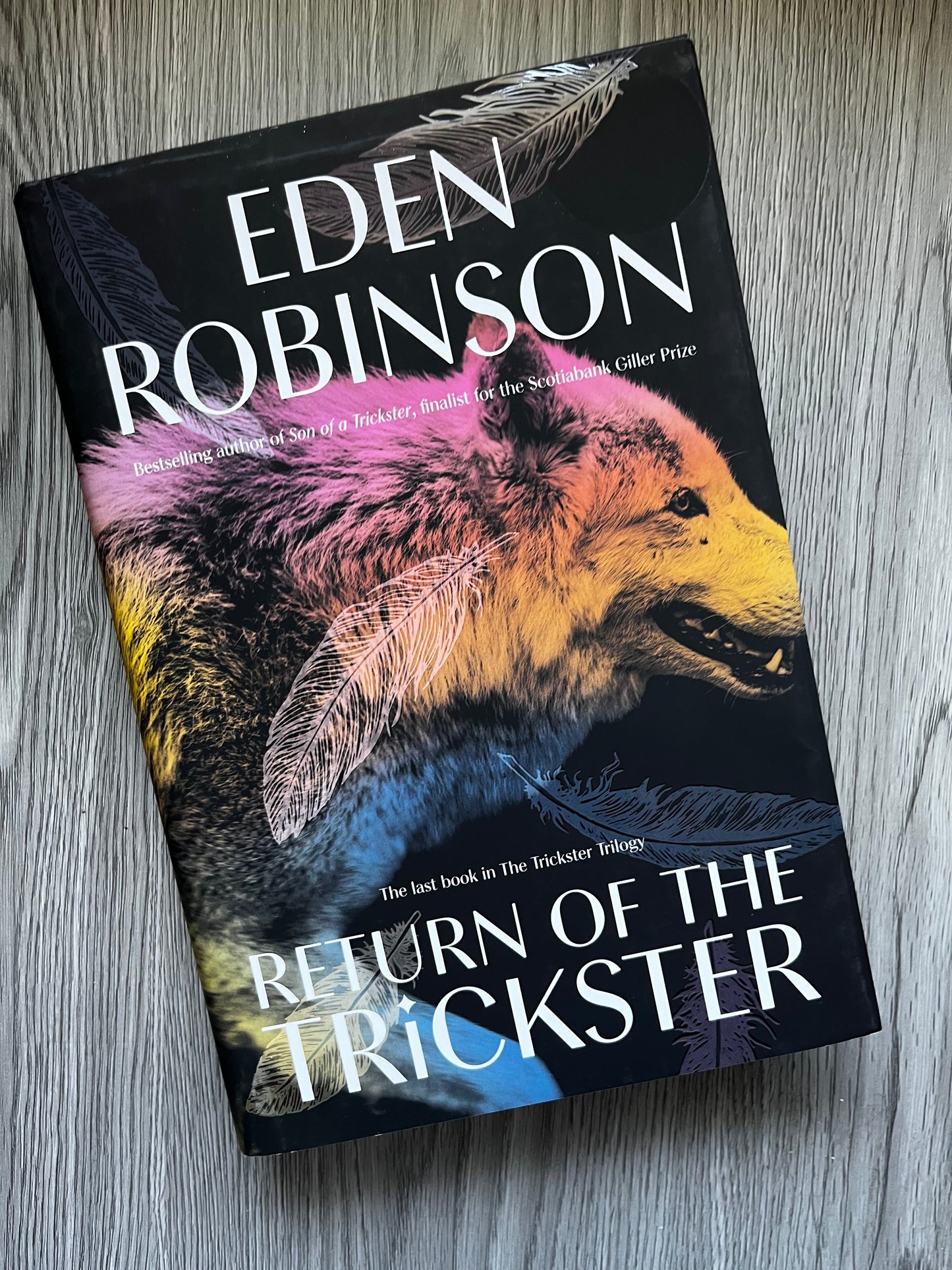 Return of the Trickster (Trickster #3) by Eden Robinson - Hardcover Used