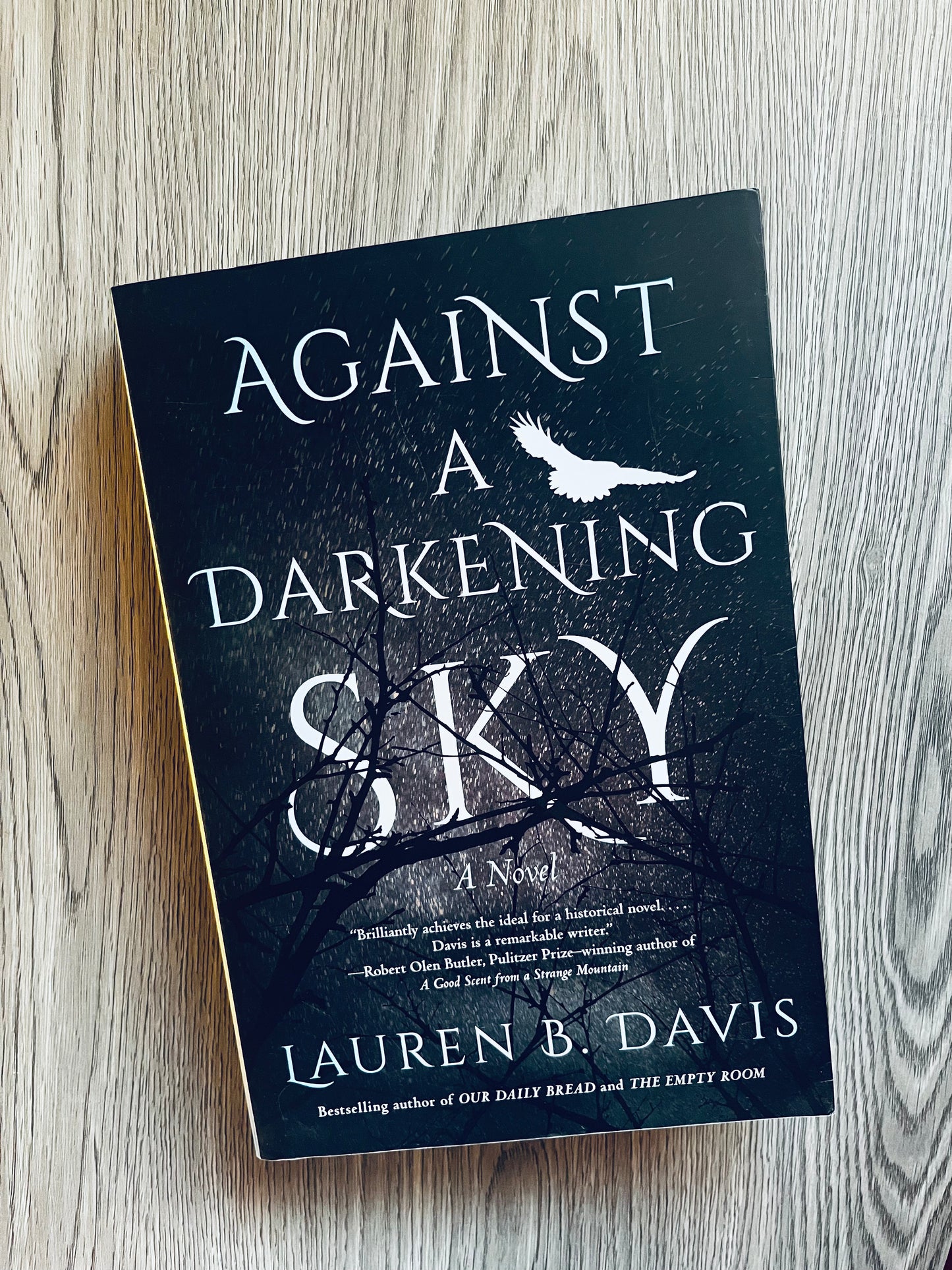 Against a Darkening Sky by Lauren B. Davis-Used