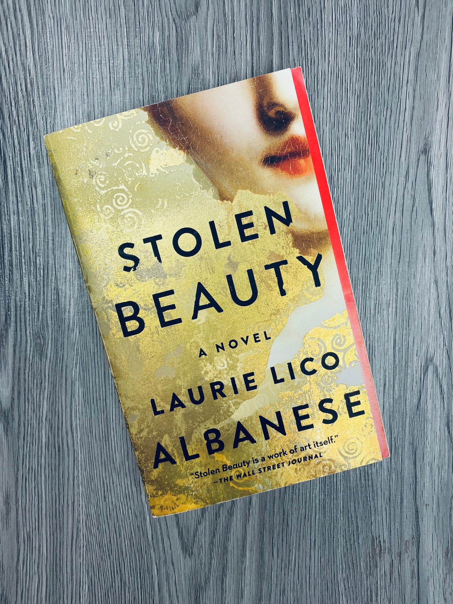 Stolen Beauty by Laurie Lico Albanese-Used
