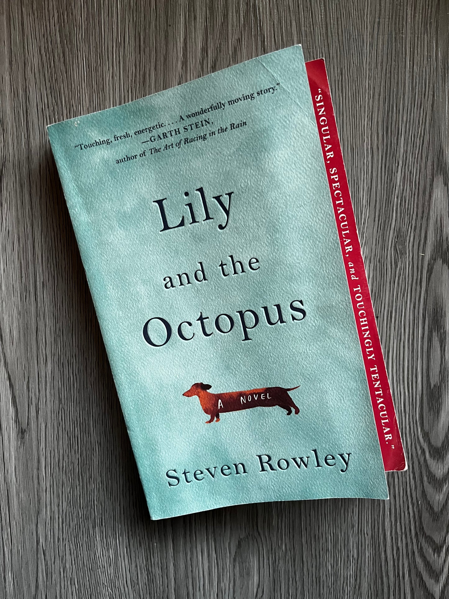 Lily and the Octopus by Steven Rowley-Used