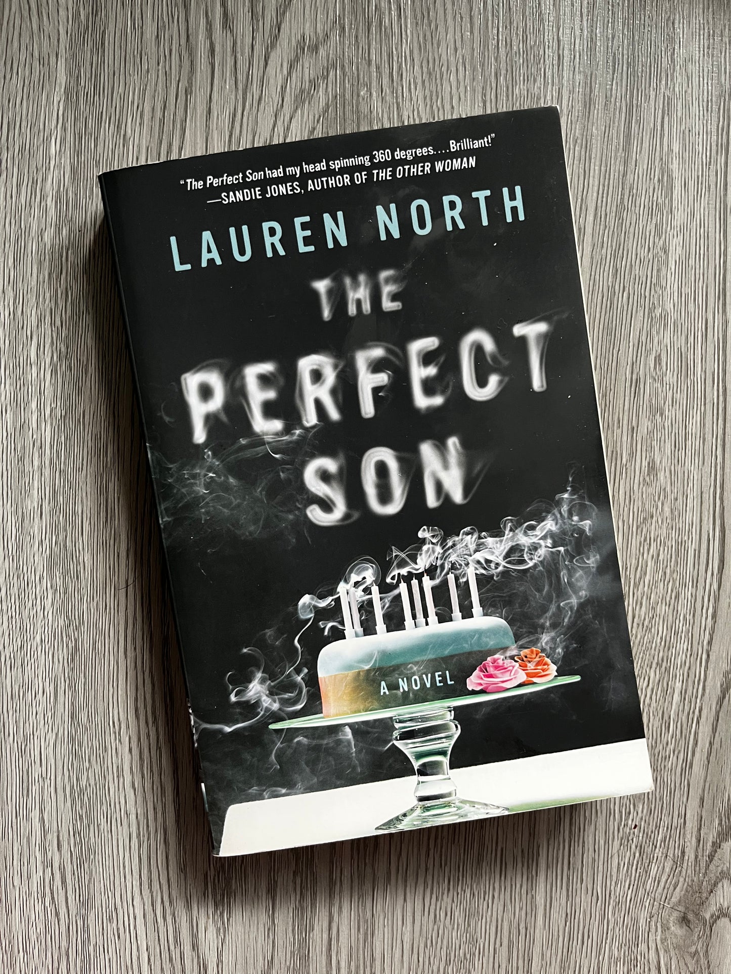 The Perfect Son by Lauren North-Used