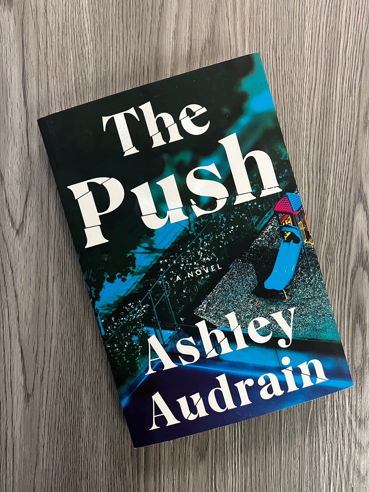 The Push by Ashley Audrain-Used