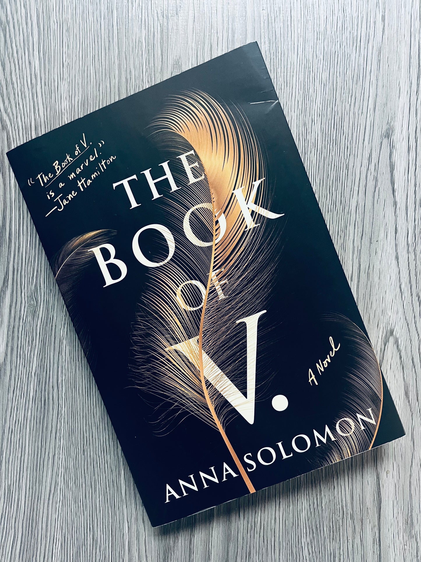 The Book of V by Anna Solomon-Used