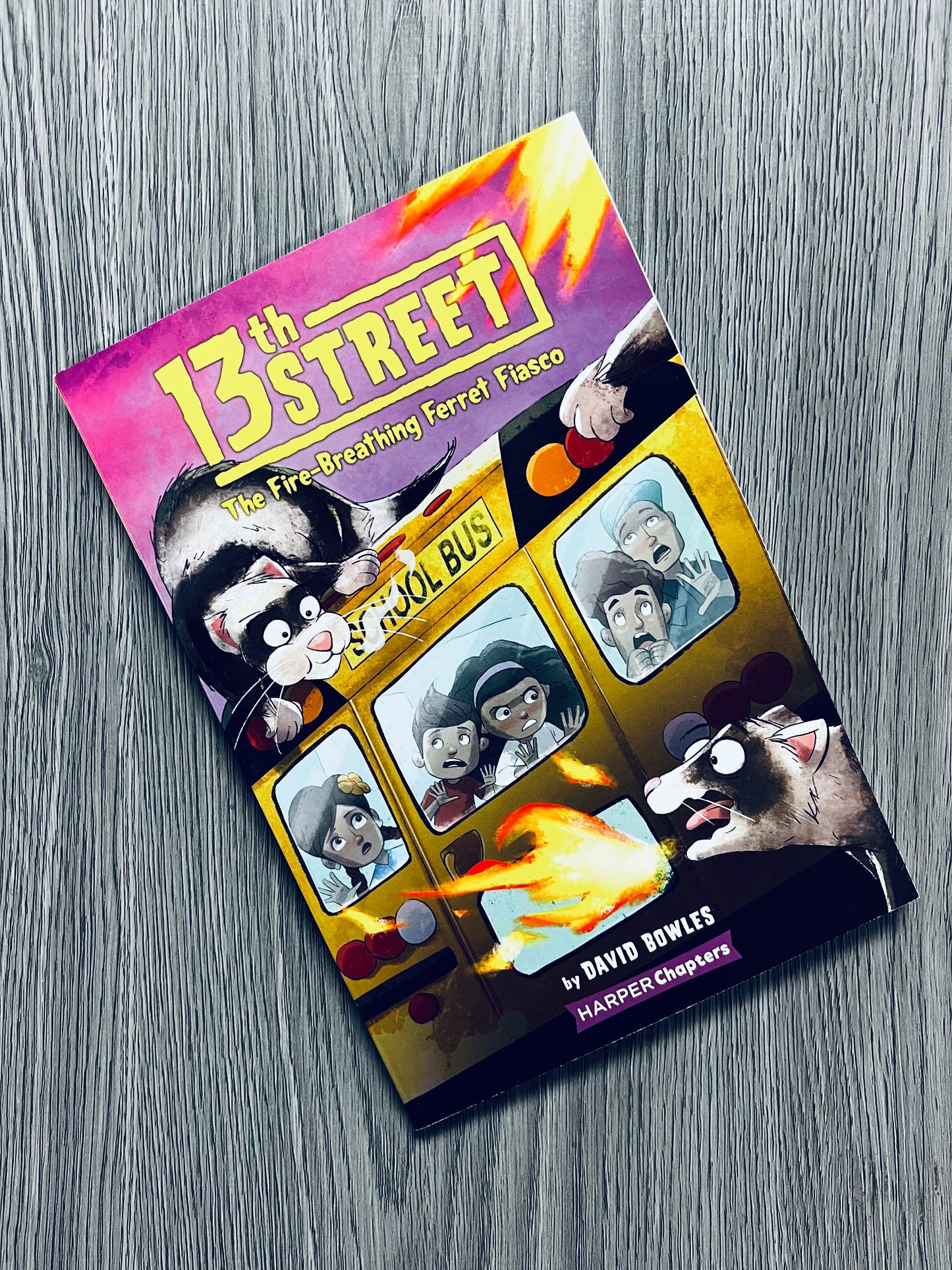 The 13th Street Series by David Bowles