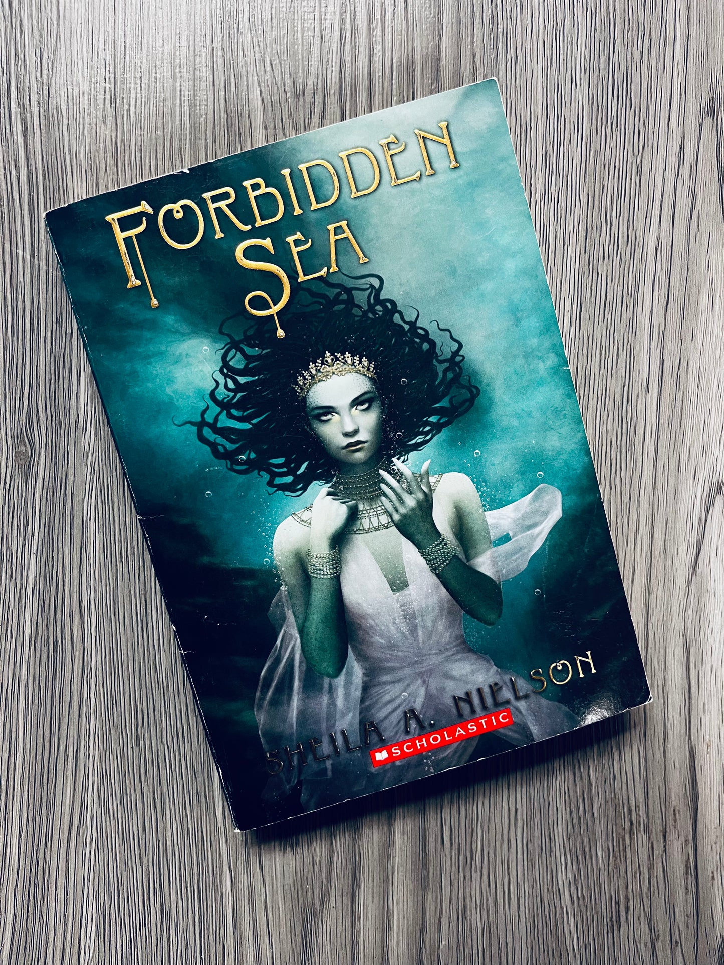 Forbidden Sea by Shelia A. Nielson-Used