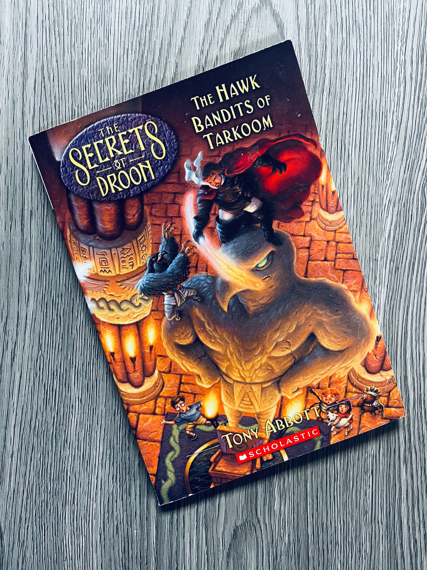 The Secrets of Droon by Tony Abbott-Used