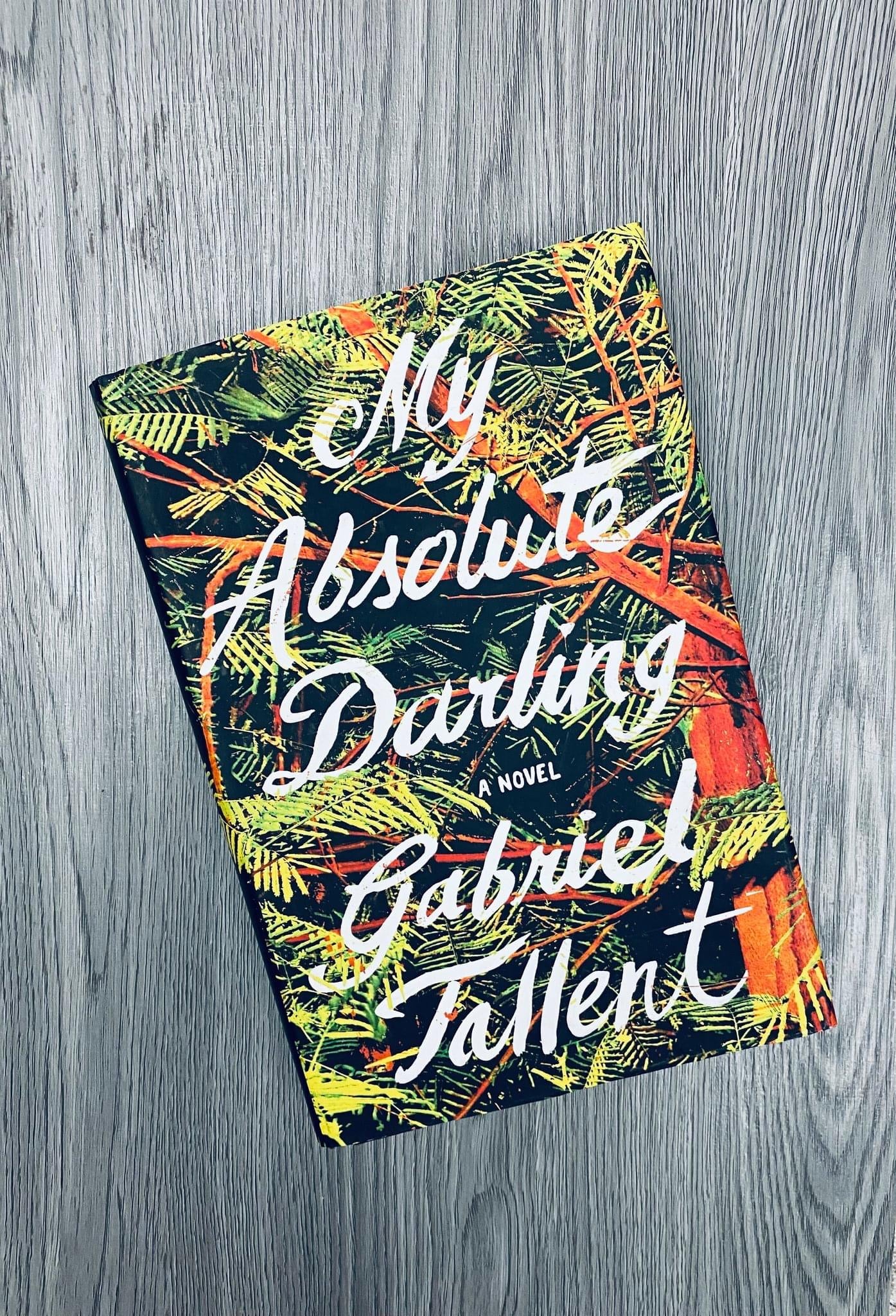 My Absolute Darling by Gabriel Tallent - Hardcover Used