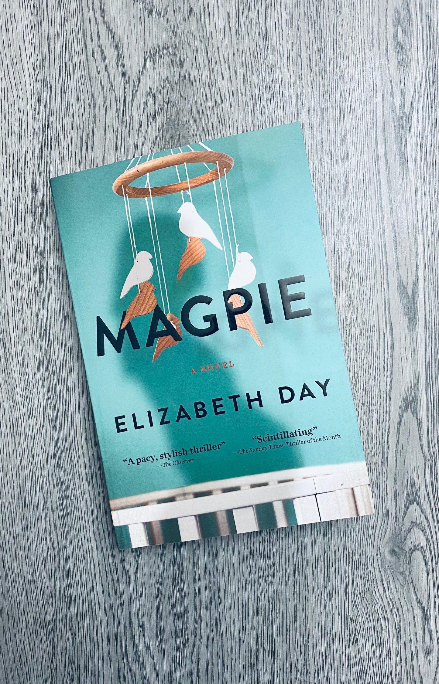 Magpie by Elizabeth Day-Used