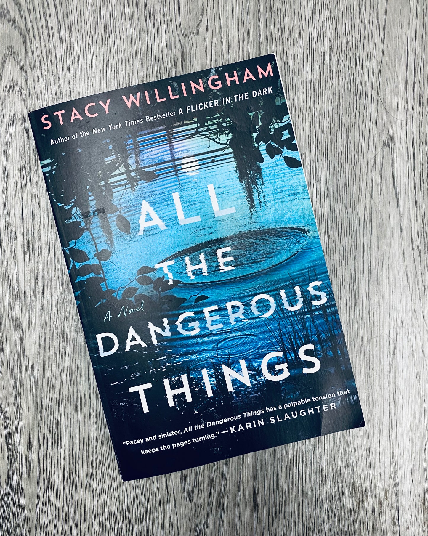 All The Dangerous Things by Stacey Willingham - Hardcover Used