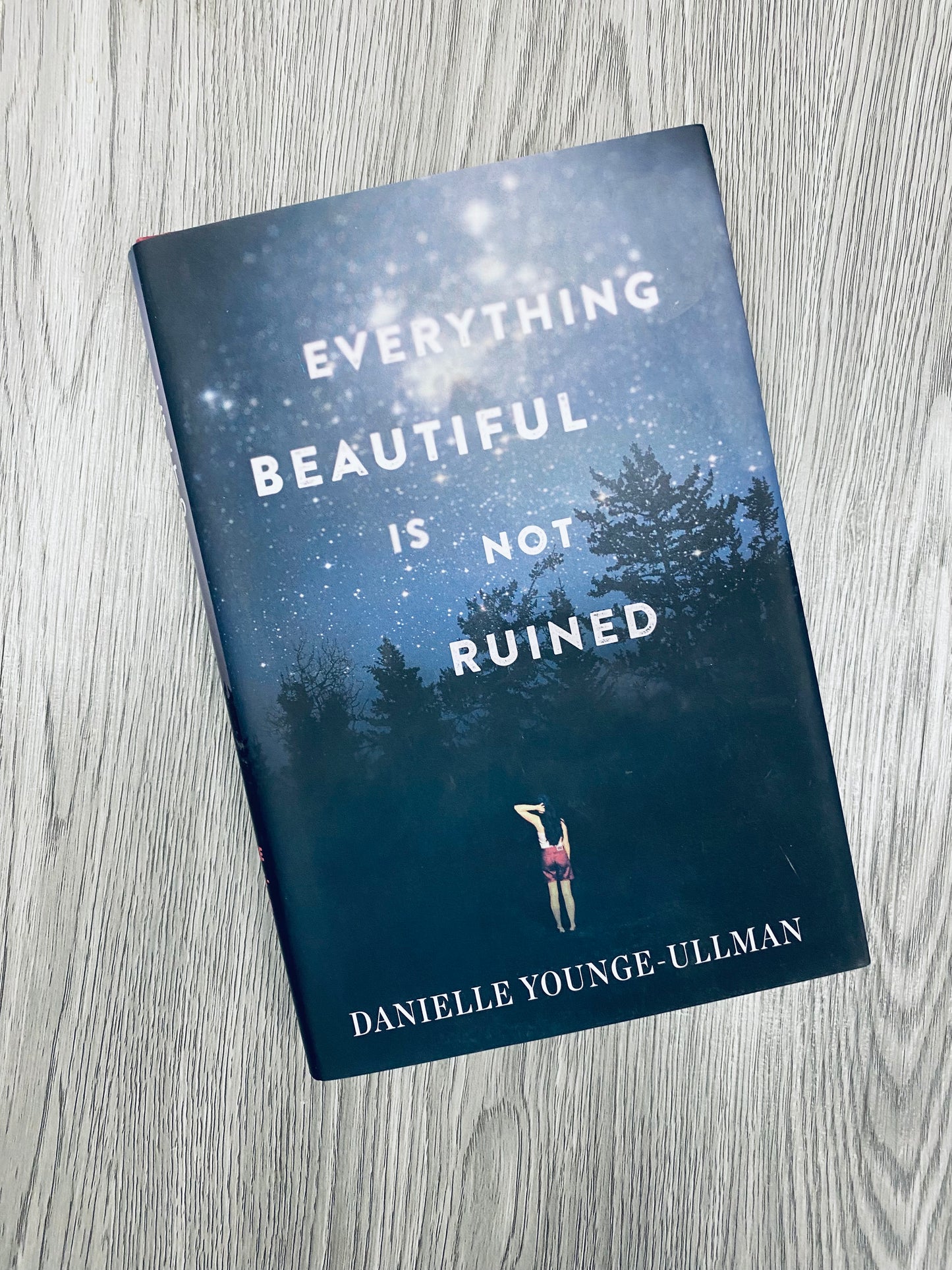 Everything Beautiful Is Not Ruined by Danielle Younge-Ullman-Hardcover Used