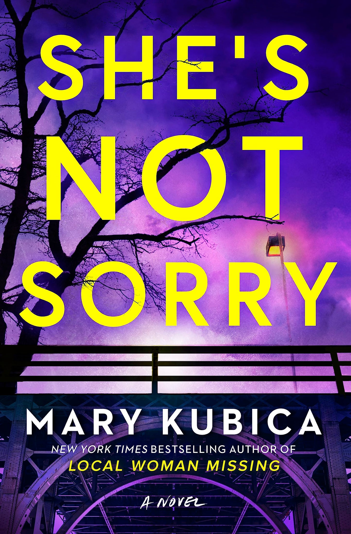 She's Not Sorry by Mary Kubica - Used