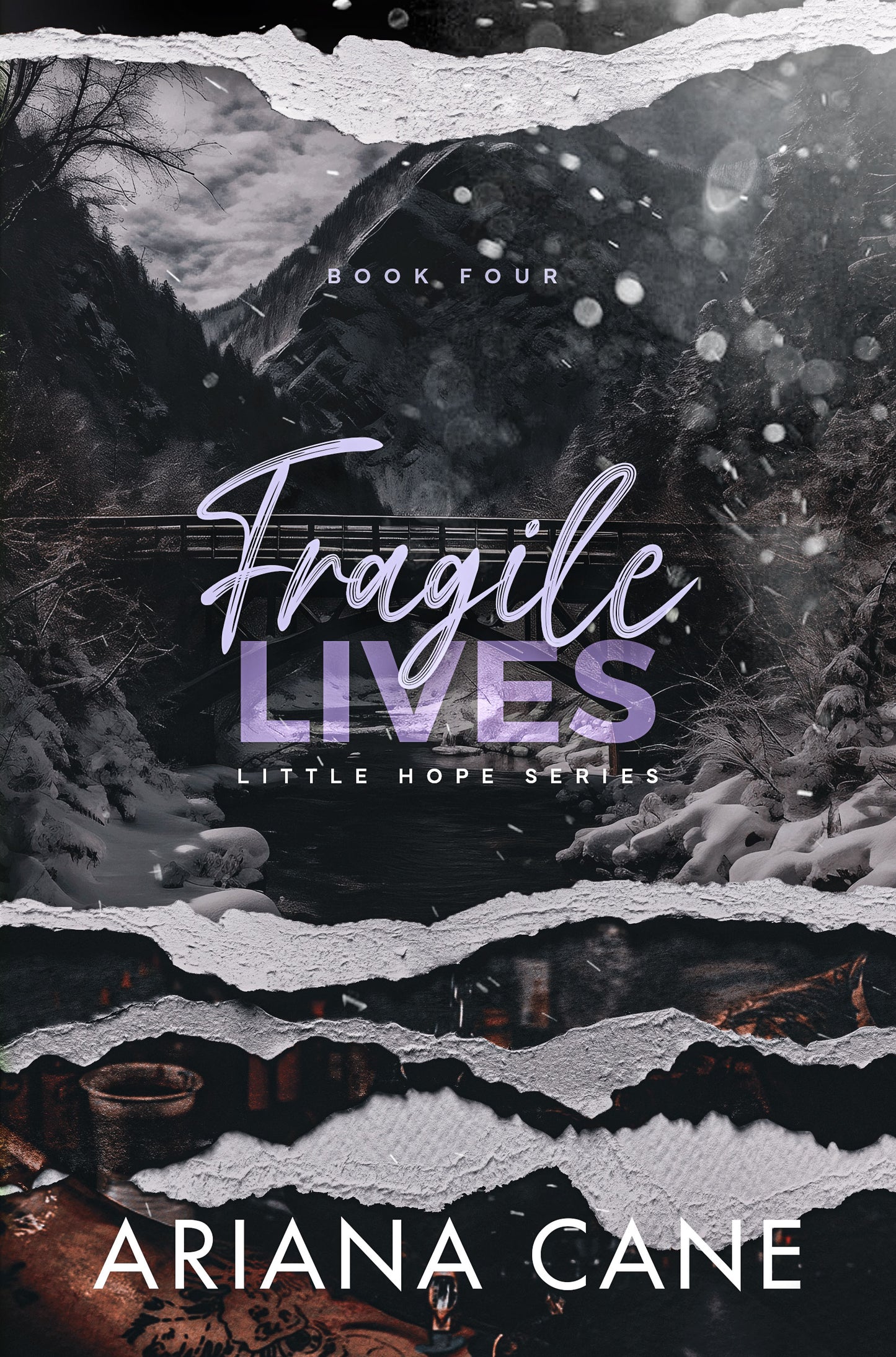 Fragile Lives (Little Hope Series #4) by Ariana Cane - Used
