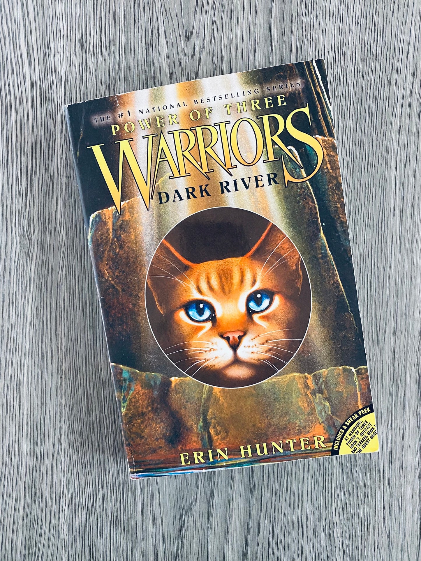 Power of Three Warriors Series by Erin Hunter