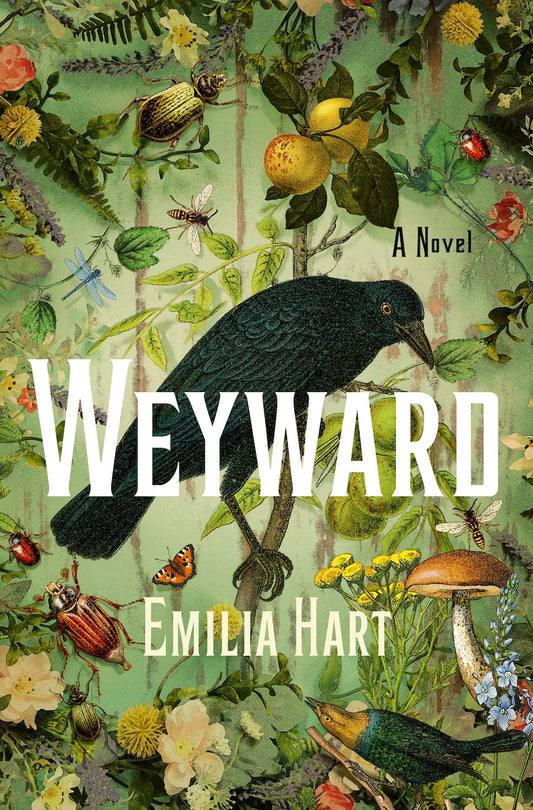 Wayward by Emilia Hart - New