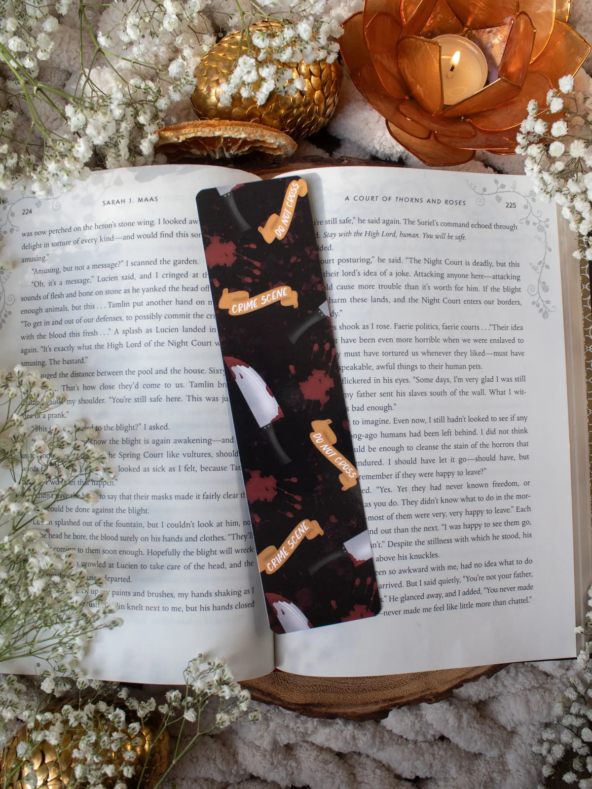 Meaggie Moos Bookmarks