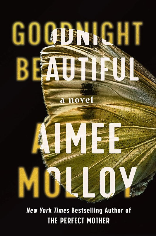 Goodnight Beautiful: A Novel cover image