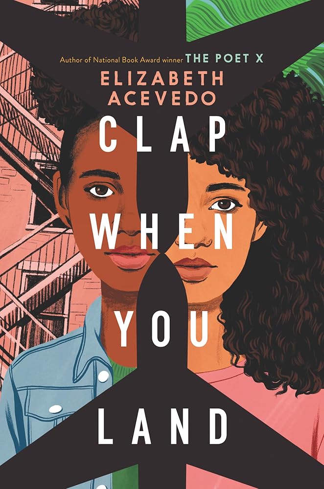 Clap When You Land cover image