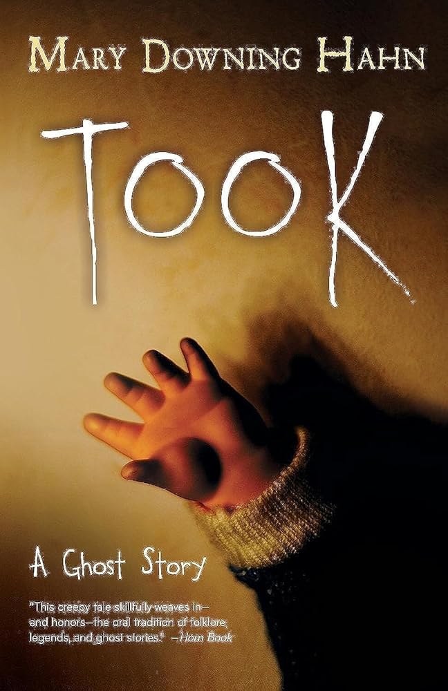 Took: A Ghost Story cover image