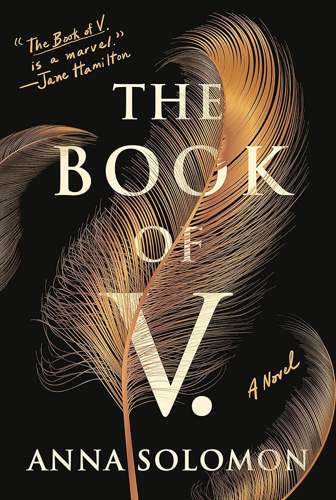The Book of V.: A Novel cover image
