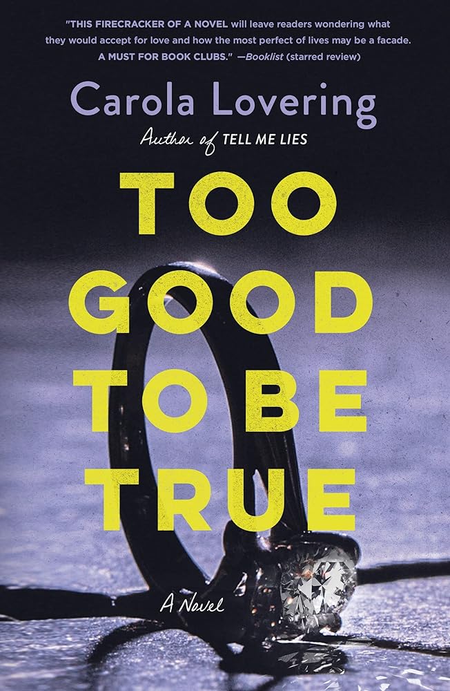Too Good to Be True cover image