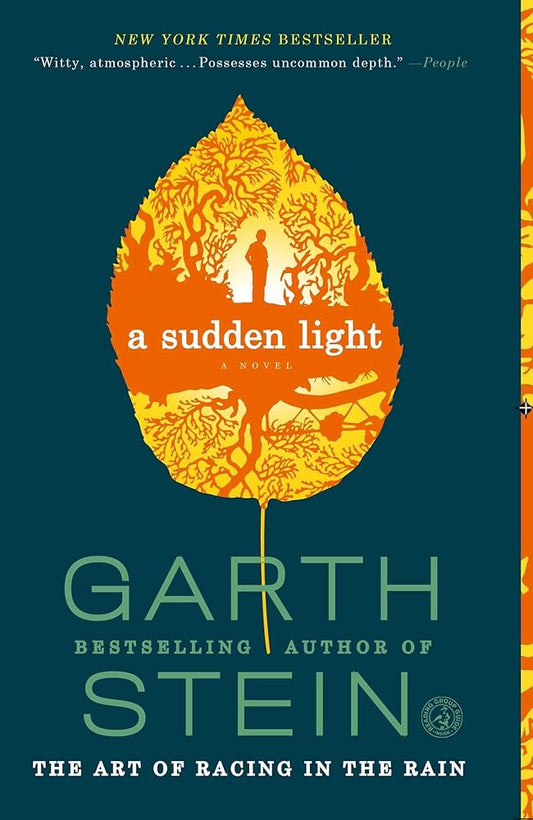 A Sudden Light: A Novel cover image