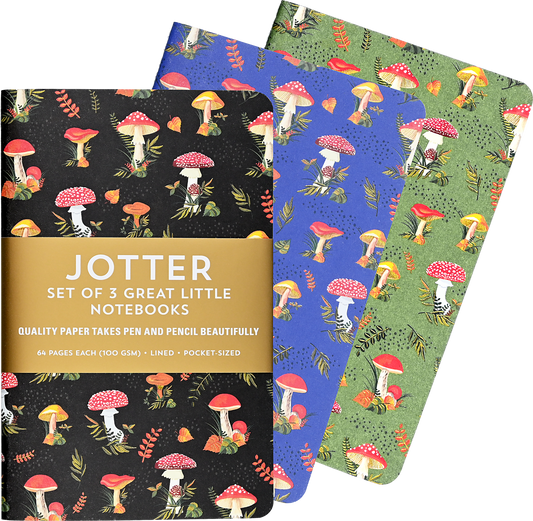 Jotter Mini Notebook Sets