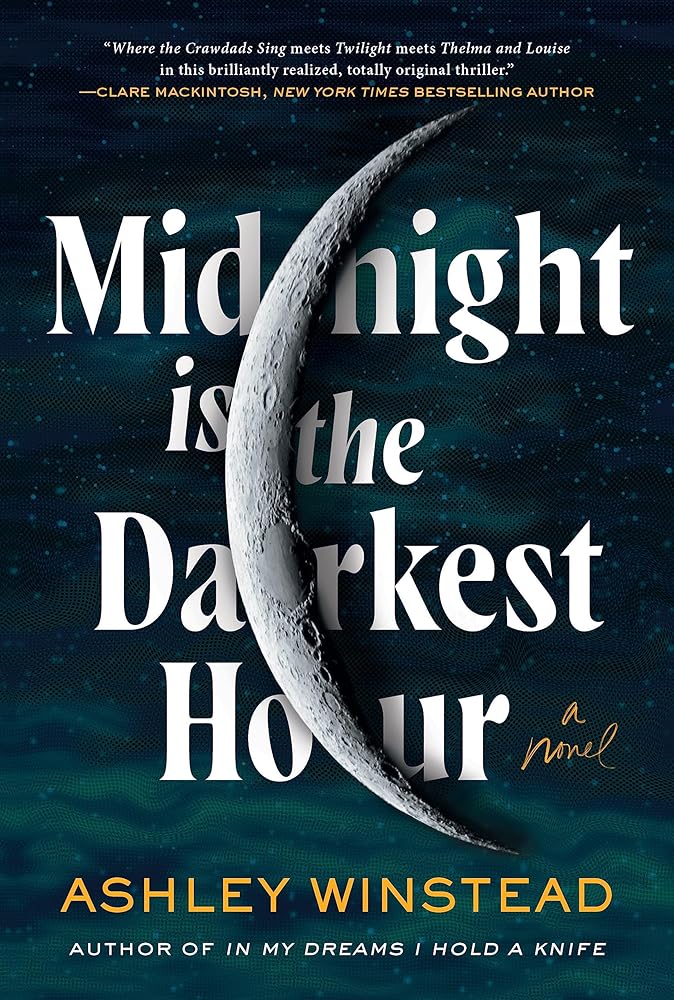 Midnight Is the Darkest Hour: A Novel cover image