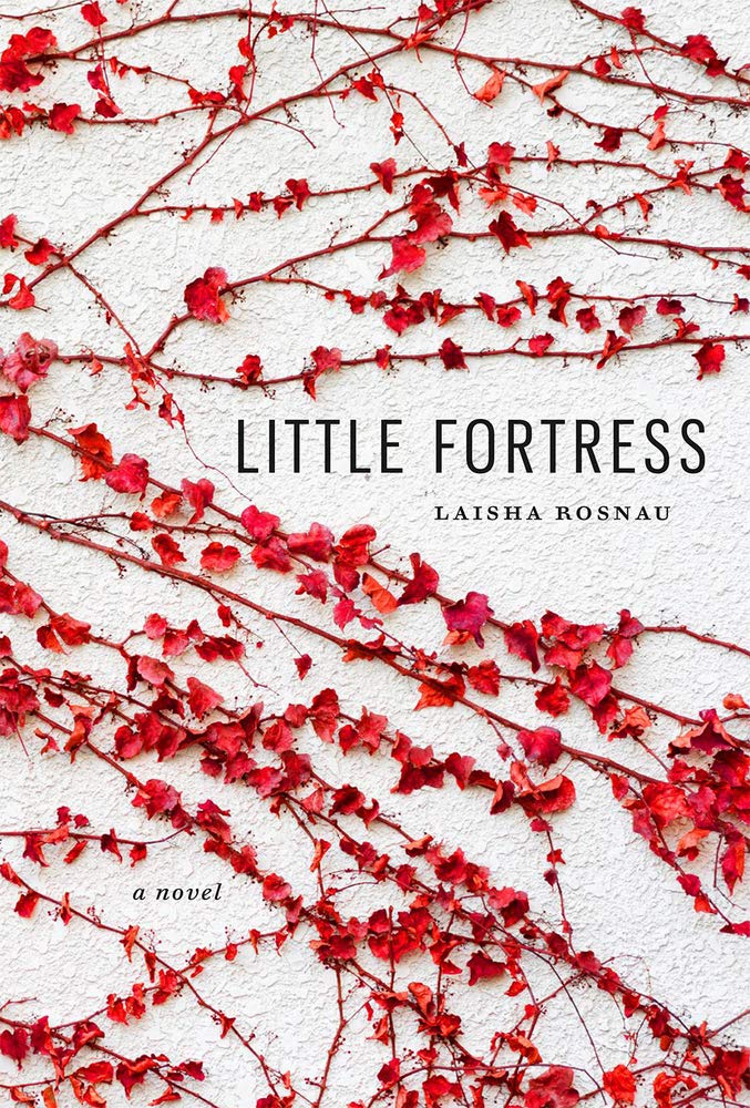 Little Fortress cover image