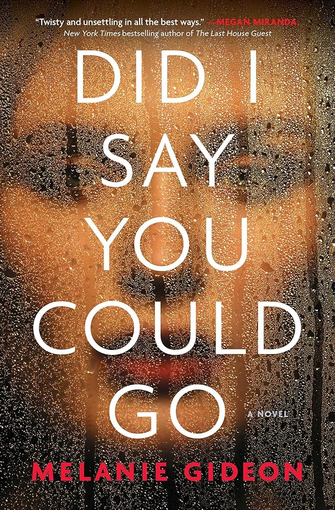 Did I Say You Could Go cover image