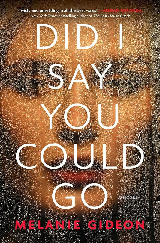 Did I Say You Could Go cover image